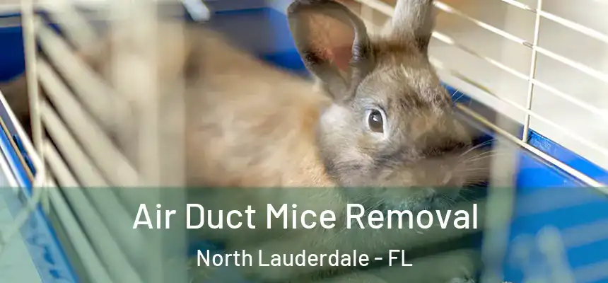  Air Duct Mice Removal North Lauderdale - FL
