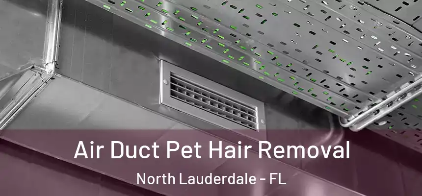 Air Duct Pet Hair Removal North Lauderdale - FL