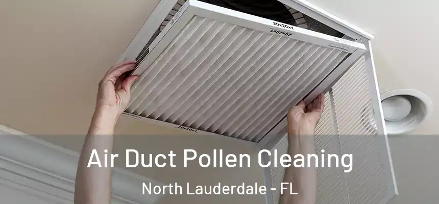  Air Duct Pollen Cleaning North Lauderdale - FL