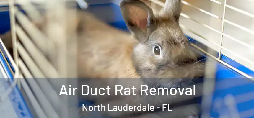  Air Duct Rat Removal North Lauderdale - FL