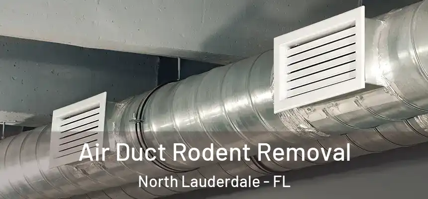 Air Duct Rodent Removal North Lauderdale - FL