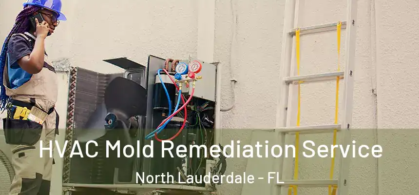  HVAC Mold Remediation Service North Lauderdale - FL