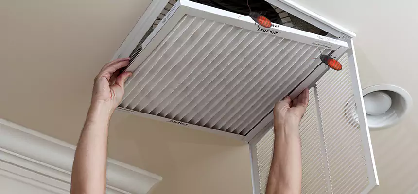 Preventive Cockroach-Proofing for Ducts in North Lauderdale