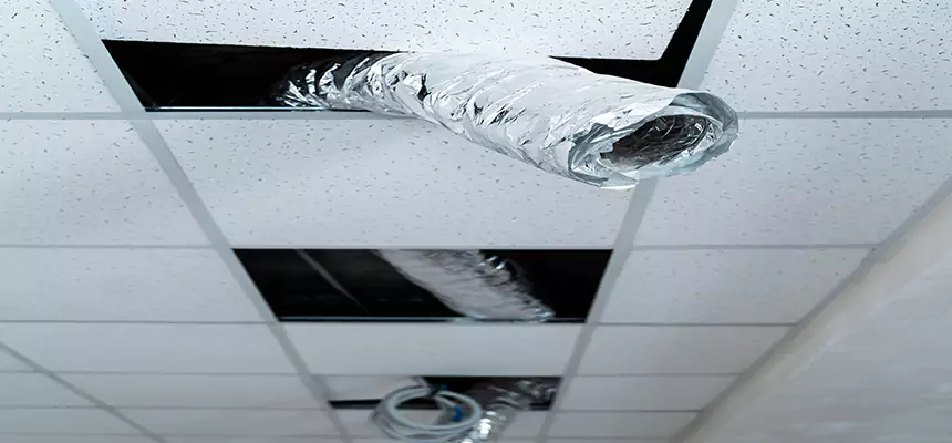 Our Air Duct Pet Hair Removal Services in North Lauderdale, FL