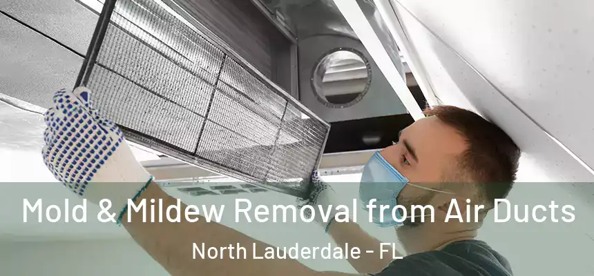  Mold & Mildew Removal from Air Ducts North Lauderdale - FL