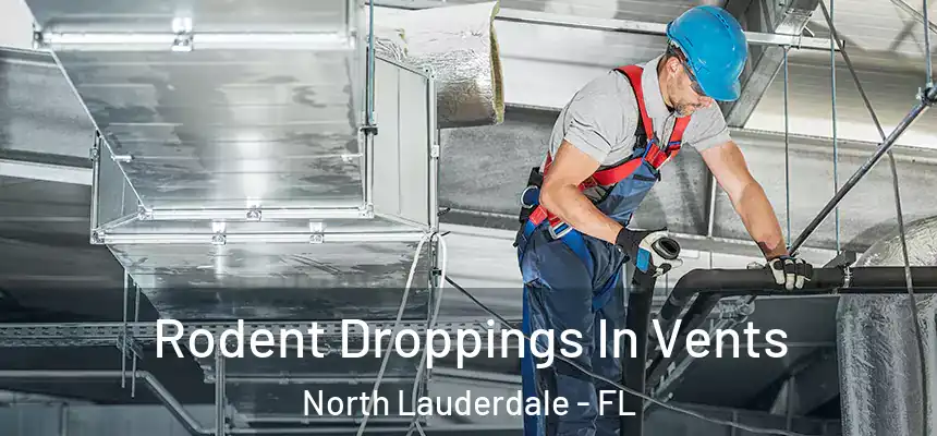 Rodent Droppings In Vents North Lauderdale - FL
