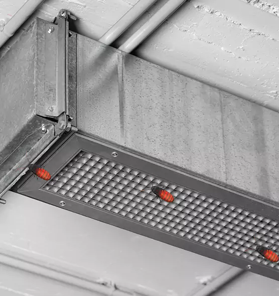 Affordable Insect Removal from Air Ducts in North Lauderdale, FL
