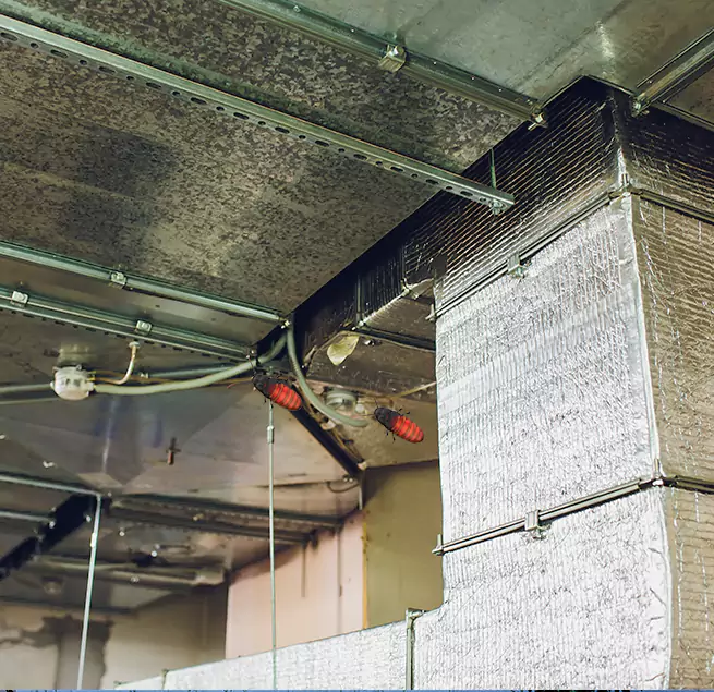 Why Homeowners & Businesses Trust Us in North Lauderdale, FL?