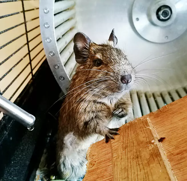 Why Homeowners & Businesses Trust Us North Lauderdale, FL?