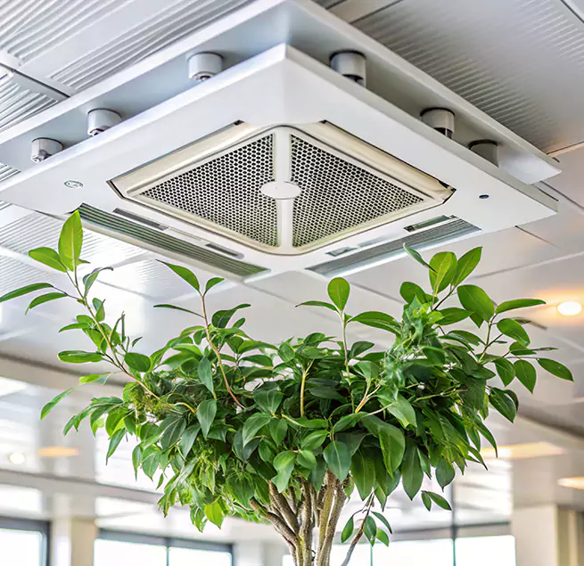 Why Homeowners & Businesses Trust Us in North Lauderdale, FL?